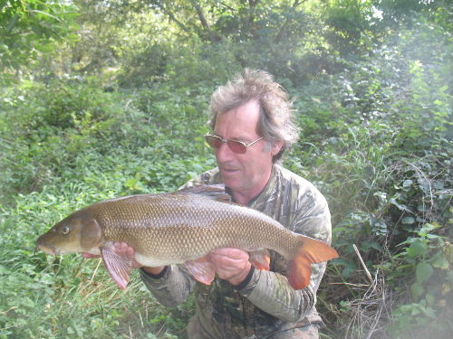 Kennet Barbel