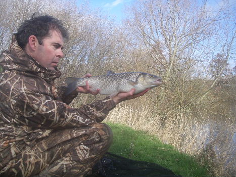 Upper Severn Chub